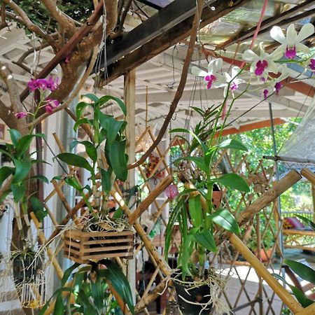Отель Patty'S Secret Garden Ко-Ланта Экстерьер фото
