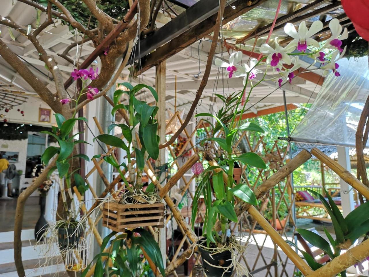 Отель Patty'S Secret Garden Ко-Ланта Экстерьер фото